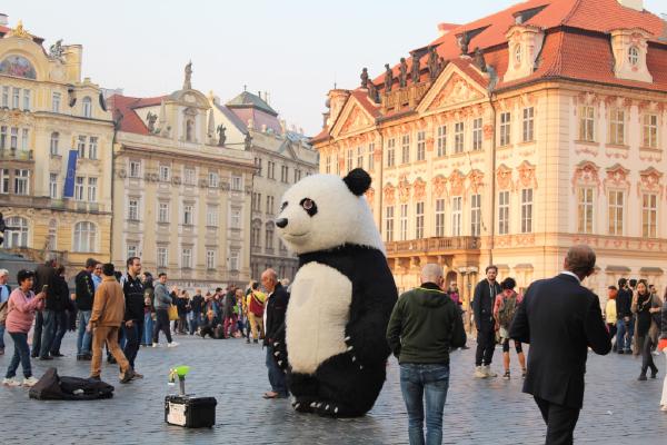 Prague city center panda